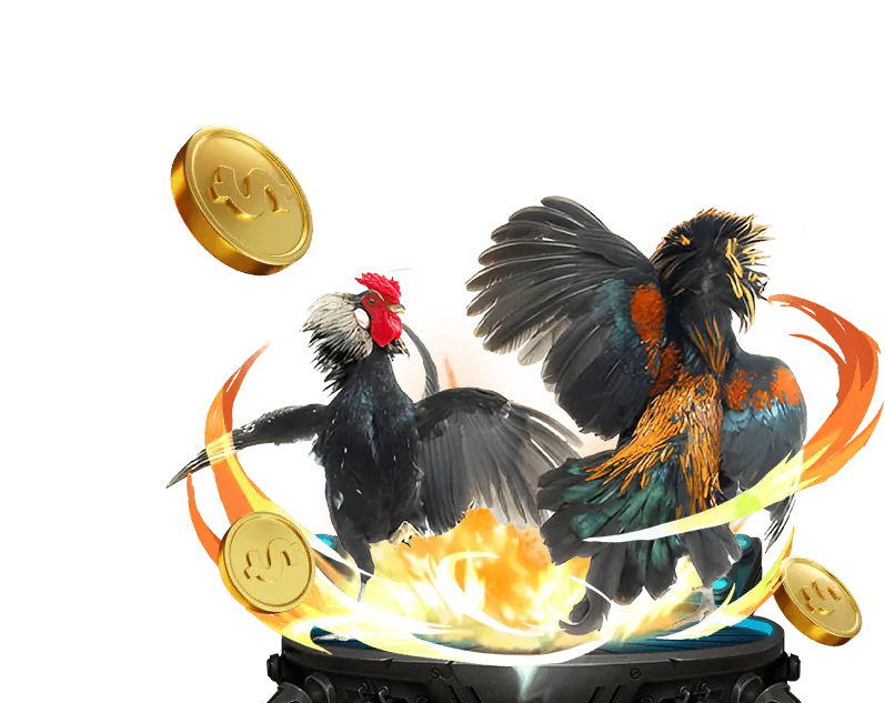 Chọn nền tảng cá cược 90ok